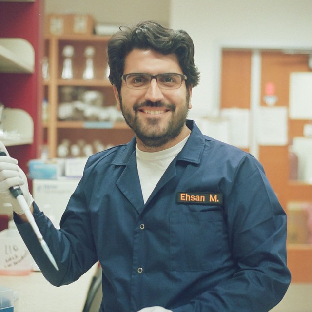 Ehsan Misaghi
